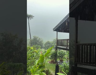 Cabin Rental — Liamuiga Natural Farm, St.Kitts — https://visitlnf.com/