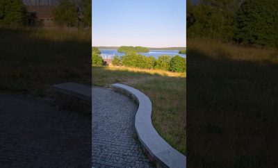 Platelių ežero apžvalgos aikštelė / Inkilų medis