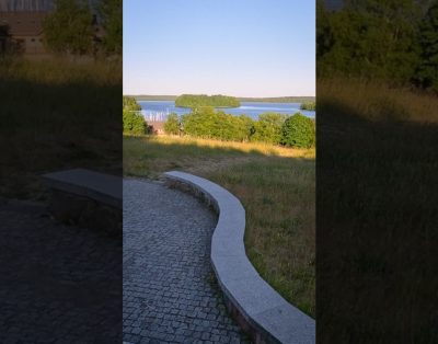 Platelių ežero apžvalgos aikštelė / Inkilų medis