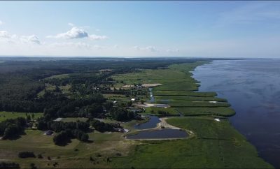 Kuršių marios, Svencelė
