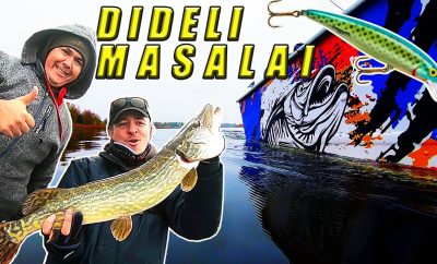 Lydekų žvejyba Nemuno deltoje Dideli masalai Didelės lydekos
