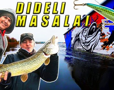 Lydekų žvejyba Nemuno deltoje Dideli masalai Didelės lydekos