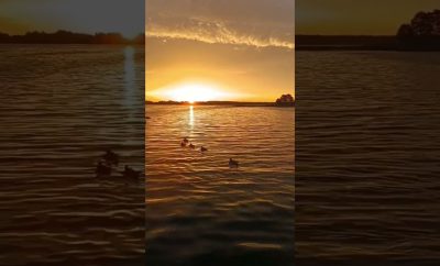 Rytas Platelių ežere #plateliai #ežeras  #jachta #vasara #sailing #jacht #laivas #video #morning