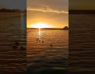 Rytas Platelių ežere #plateliai #ežeras #jachta #vasara #sailing #jacht #laivas #video #morning