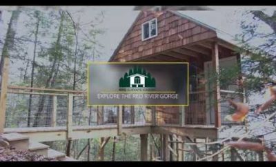 Red River Gorge Aerial Treetops