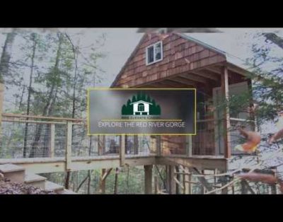 Red River Gorge Aerial Treetops