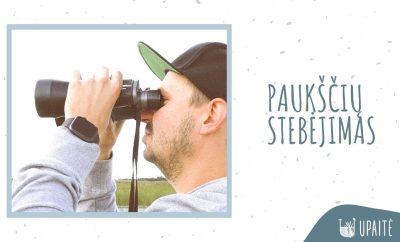 Paukščių stebėjimas — Upaitė