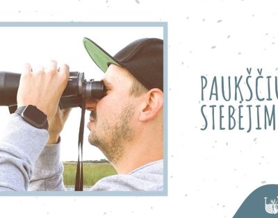 Paukščių stebėjimas — Upaitė