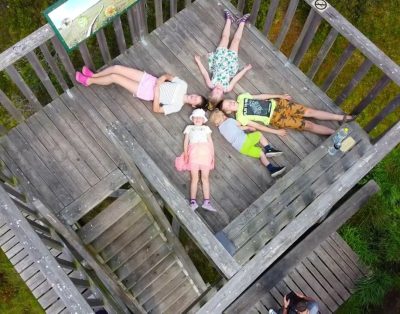 Aukštumalos pažintinis takas – Nemuno deltos apžvalgos bokštas 4K