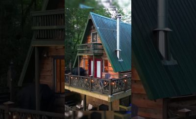Maža kabina mėlynųjų grandinių miškuose