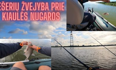 Žvejyba Kuršių mariose prie Kiaulės nugaros