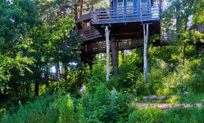 Vytenio parkas – unikali vietelė visai netoli Vilniaus. Kai kas sena, jau sutręš…