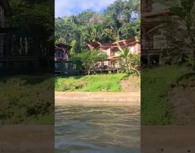 Itamandi ekologiško viešbučio apžvalga Amazonės miške, Ekvadore