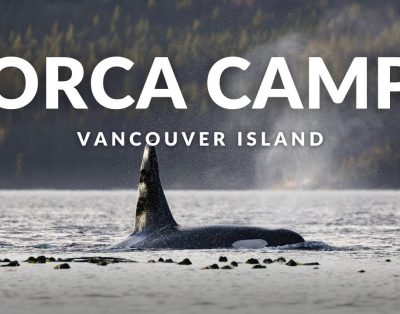 Orka stovyklavimas Vancouver saloje