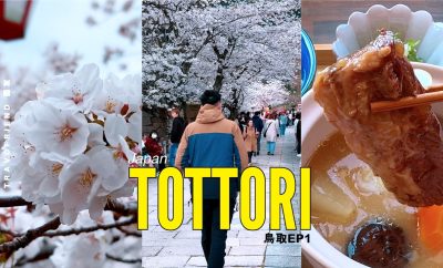 Tottori sakurų žydėjimas, prabanga prie ežero, istorinė pilis ir kavinė su jūros vaizdu