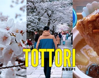Tottori sakurų žydėjimas, prabanga prie ežero, istorinė pilis ir kavinė su jūros vaizdu