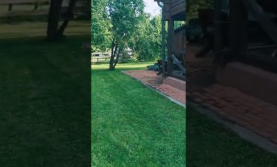 Sodyba „Villa Elvina“, Ukmergės r. Žemaitkiemis