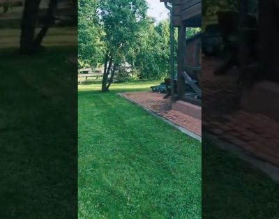 Sodyba „Villa Elvina“, Ukmergės r. Žemaitkiemis