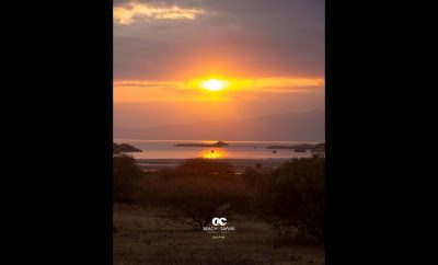 Safari po Afriką: Natrono ežeras