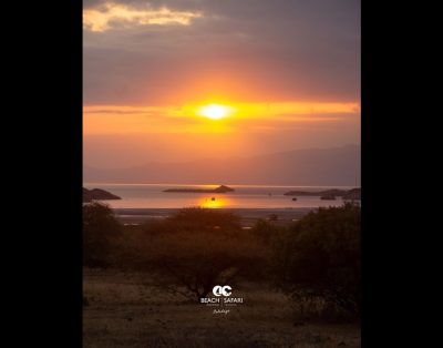 Safari po Afriką: Natrono ežeras