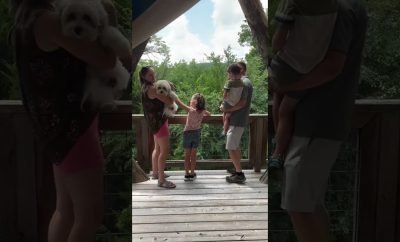 Atsivežk šunį, susipakuok lagaminus – Camp Long Creek yra tavo pabėgimas prie ežero.