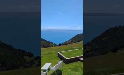 Dudley vyninė, Kangaroo sala, Australija