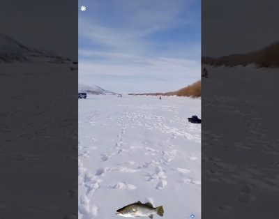 Žvejojame ant ledo!