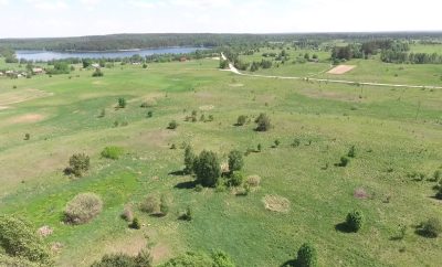 Sodyba prie Asvejos ežero su nuosavu tvenkiniu Tarakonių kaime, Vilniaus rajone